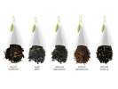 Coffret thé noir Tea Forte 20 pyramides Assortiment