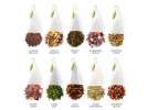  Prestigious Tea Box 40 pyramids collection "Tea Chest"
