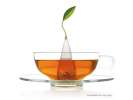 Teaforte green tea event box Sencha 48 pyramids