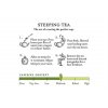 Tea Forté - Moroccan Mint - Bulk infusion of whole leaves - Fresh Box 120 g