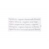 Tea Forté - Chamomile Citron - Organic infusion Premium Chamomile in bulk - Fresh Box 50 g