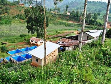 Burundi Coffee, Butegana Station, Micro-lot,100% Red Bourbon 