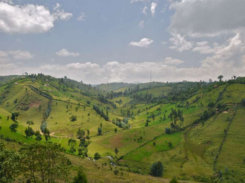 Ethiopian Coffee Moka Sidamo Grade 1